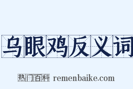 乌眼鸡反义词是什么意思的图片